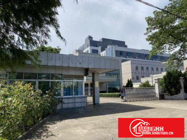 一线大路边，花园式，顺德大良10000平方标准厂房出租