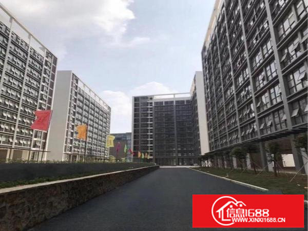 （政府租金补贴，上市）15万平方红本厂房招租。