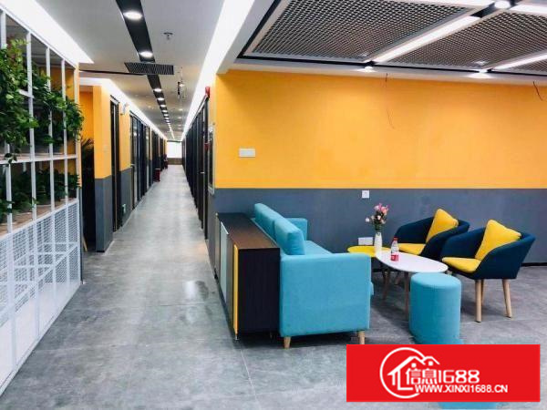 10至300平！新店特惠免租1月！布吉豪装办公室出租配家私