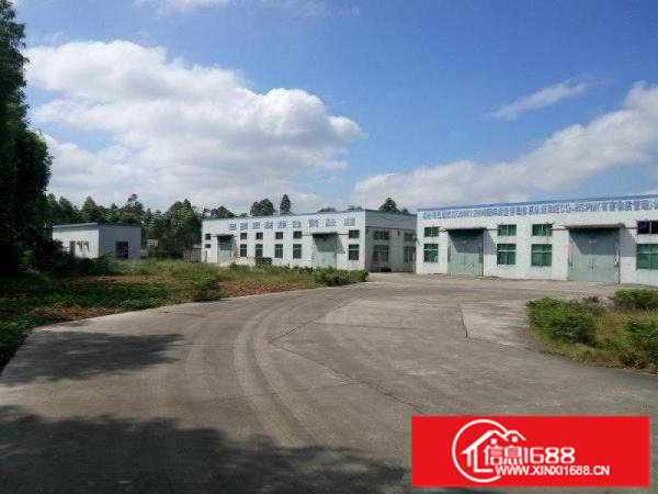 房东直租坪地六联一楼厂房5000平方米急出租