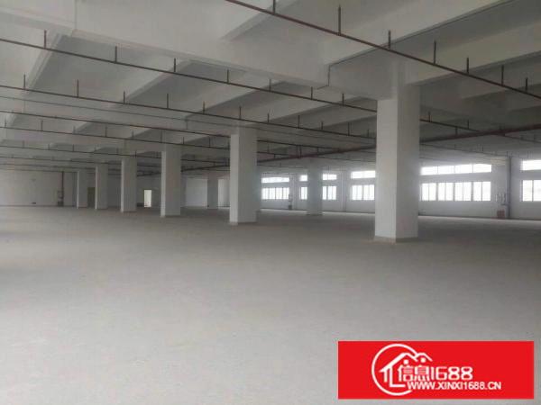 出租龙岗区坪地原房东一楼1500平方厂房