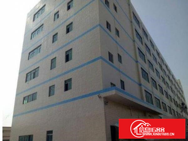 横沥田饶步标准厂房楼上1500平方形象好急租