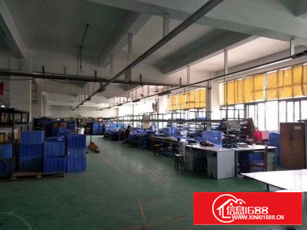 沙井共和新出楼上整层5000平米精装修厂房