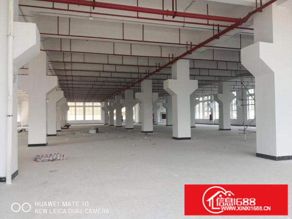 大朗象山新出独栋厂房单层面积3006平带牛角可分租