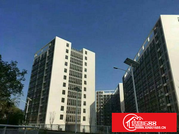 龙岗坪地新建红本厂房15万平米出租