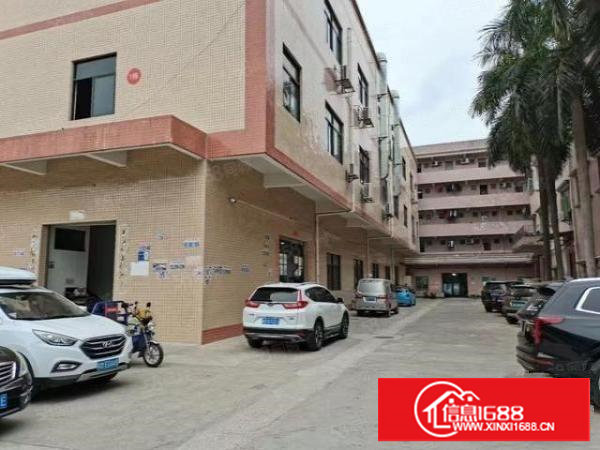 厂房出租沙湖标准一楼厂房680平米带装修出租