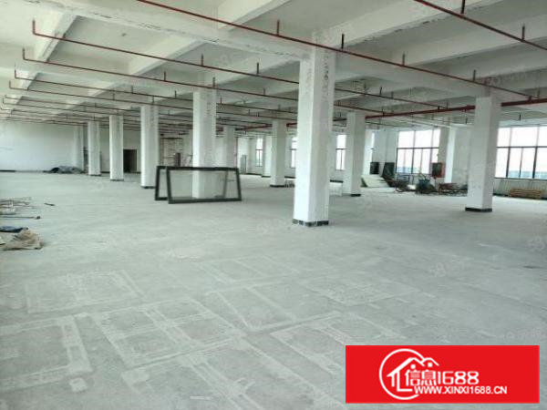 凤岗镇竹塘全新工业园厂房出租1500平方，可过环评