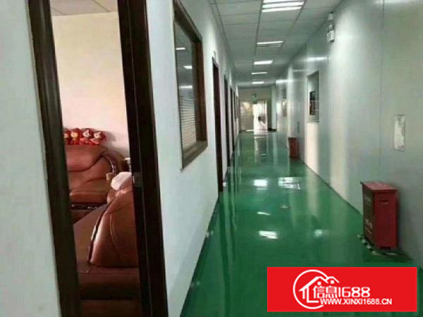 潼湖新光2楼630平全新装修厂房出租带无尘车间