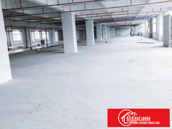 坂田带装修仓库厂房出租100平500平1000平可分