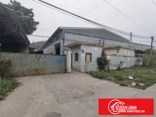 常平镇桥沥村新出独院单一层钢构厂房水电线路齐全可办环评