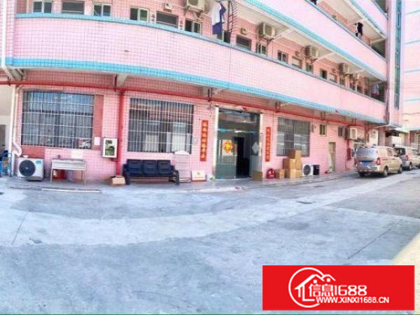 龙岗华南城附近精装修3500平厂房宿舍办公室仓库一概齐全