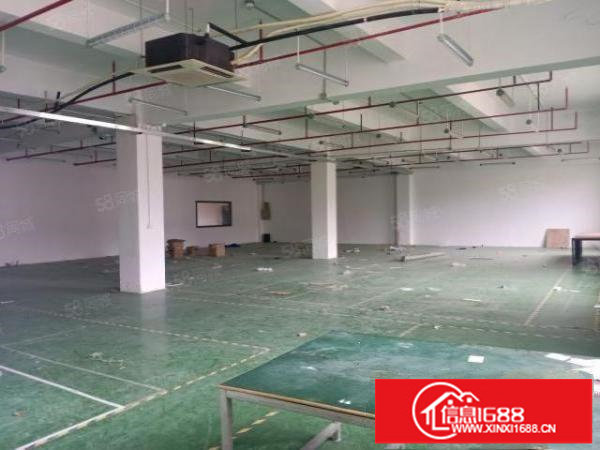 福永新和新兴工业区装修厂房1200平出租