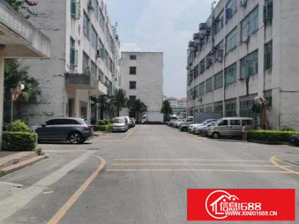 坂田亚洲工业园770平方精装修厂房仓库招租