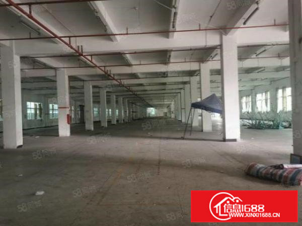 寮步新空出原房东1200平厂房低价出租