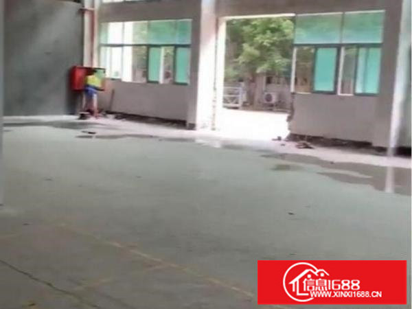 松岗一楼全新装修好，欢迎镜面火花机入驻。