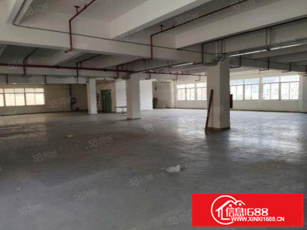 龙岗宝龙原房东8000平米仓库出租带卸货平台