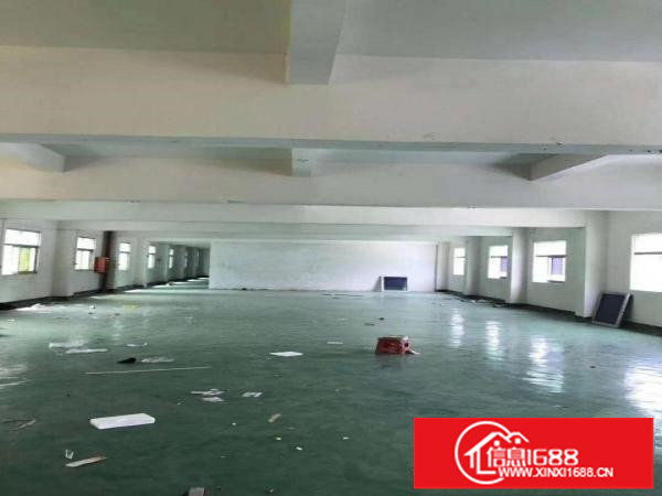 横岗安良沙荷路新出独院厂房