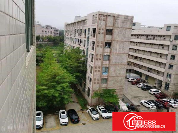 企石永发工业区5万平方厂房出租一楼厂房仓库招租200平方分租