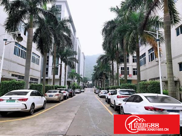 横岗六约珠宝产业园,200到2300平厂房出租,大小珠宝生产