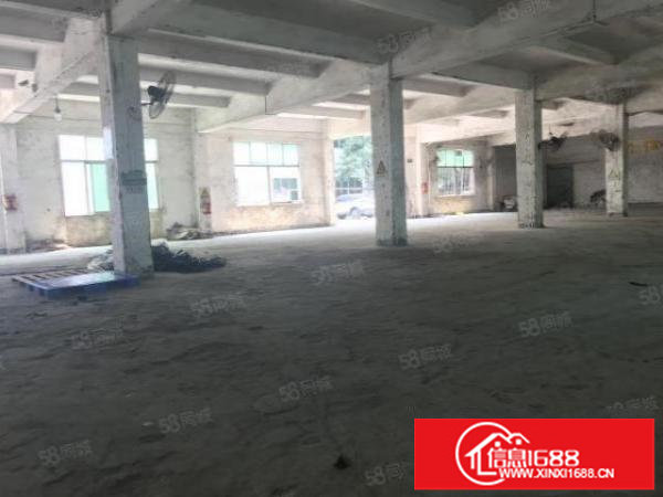 龙岗爱联原房东一楼实际面积出租整层700平方，可分租一半