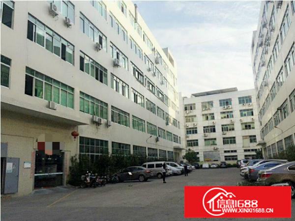 平湖新木村新标准厂房一楼920平带隔楼办公室装修