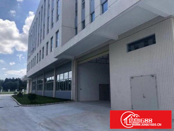 新马莲新出一楼层高6米800平带牛角位厂房出租