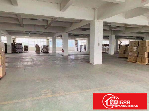 坂田马安堂原房东出租一楼厂房1400平，证件齐全