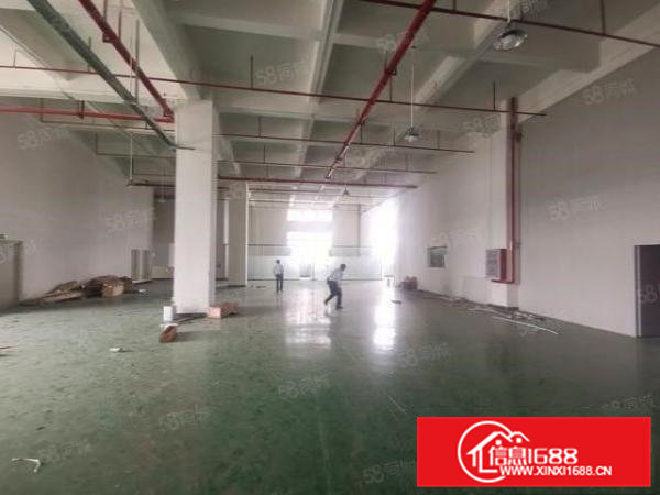 常平司马新出18000平米花园式水电线路齐全独院标准厂房招租