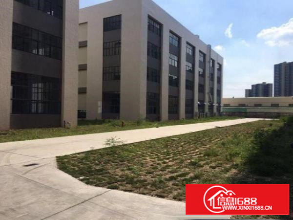 全新标准1招租，形象大气