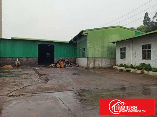 桥头精品小独院可做污染行业