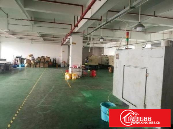 独门独院标准厂房4300㎡