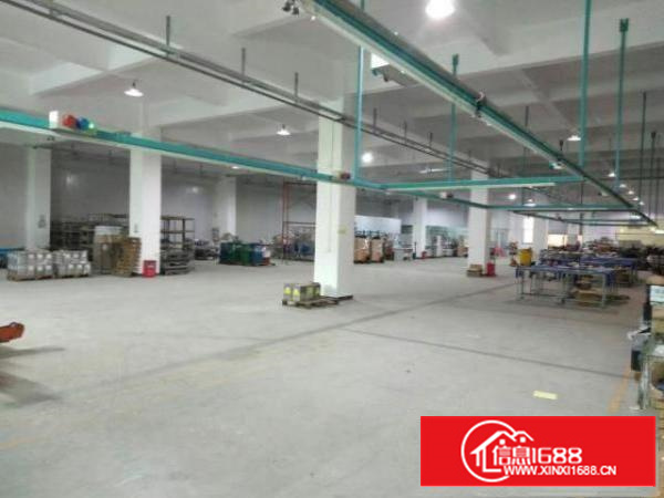 万江新出独院标准厂房一楼1700平方出租适合做设备、五金