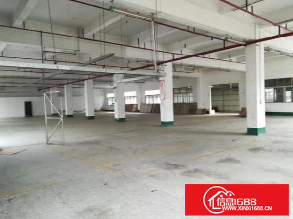 凤岗官井头嘉辉附近一楼厂房出租1500平方近大运城邦