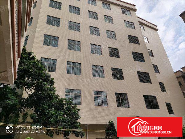 虎门北栅原房东全新工业大厦出租，每层380平方