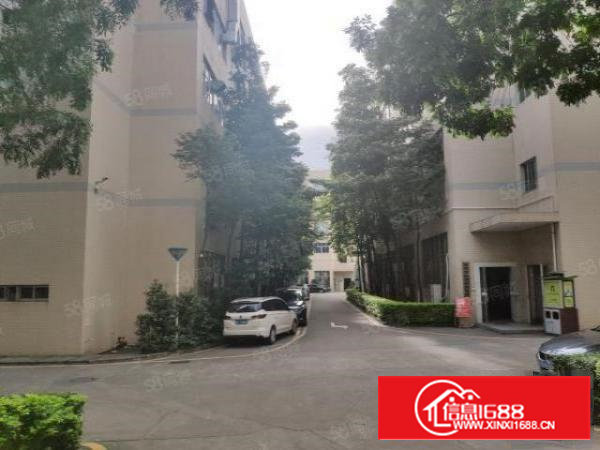 石岩应人石660平高新园区，长条形车间厂房出租