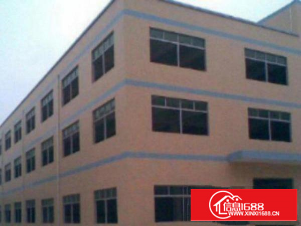 万江1500平米一楼标准厂房出租，水电齐全消防等设施齐全