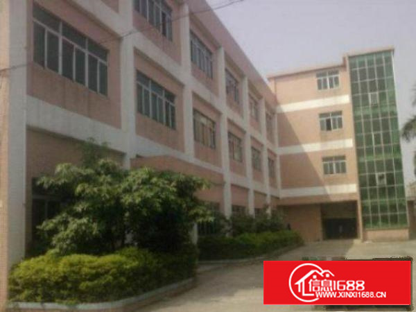 万江独栋4000平方米标准独院厂房招租