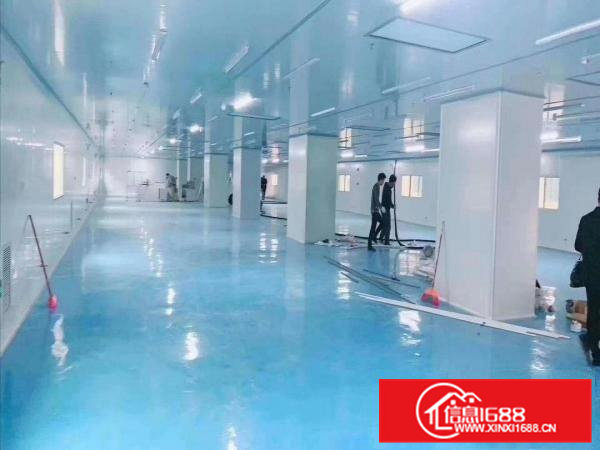 口罩客户看过来，现成无尘车间1000平