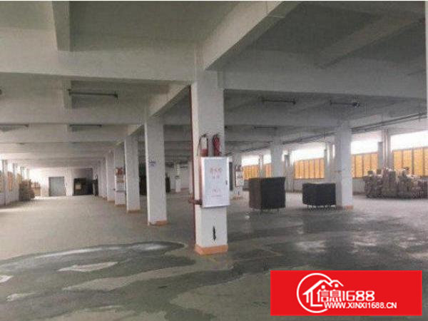 常平苏坑下付路新出标准一楼厂房900平米带装修