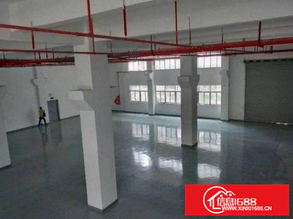 常平还珠沥超豪华装修7米层高一楼3000平厂