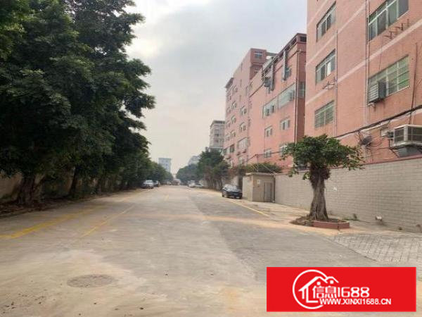 大岭山工业用地标准厂房好招工白菜价