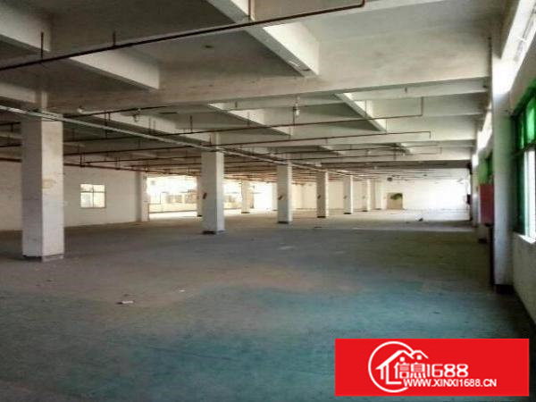 龙岗新生标准厂房一楼1200出租，可分租，适合五金，仓库