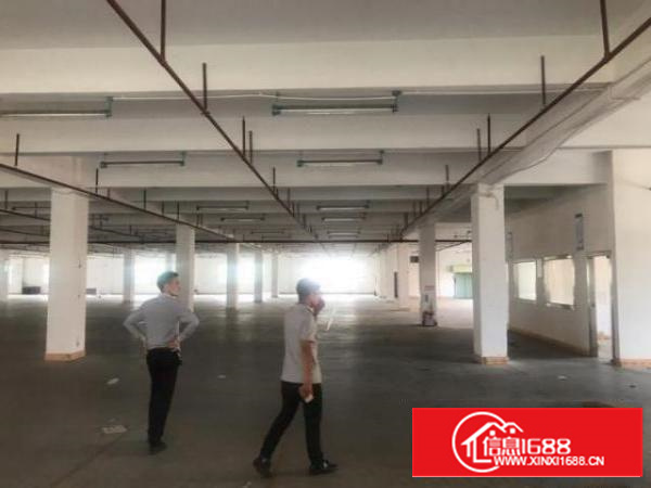 石排城区新开发区