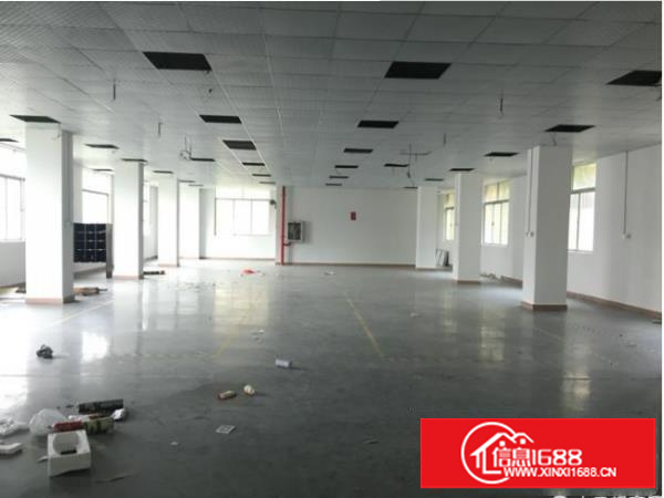 布吉丹竹头楼上550平方超靓外观厂房出租