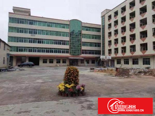 茶山原房东标准厂房出租4000方