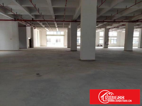 黄江镇独院分租标准厂房一楼6.5米高1000平方出租