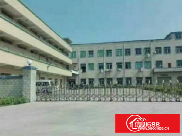 万江周边1出租5001500、2000平方出租