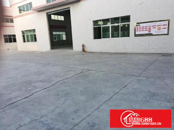 惠州新圩滴水9米高钢构厂房22800平米16元租