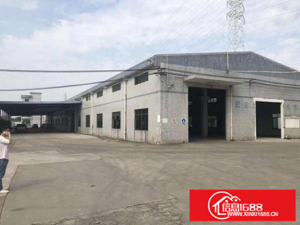 出租桥头镇新空出单一层800平方