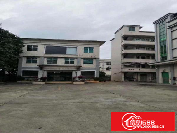 龙岗同乐原房东楼上整层1400平出租，白菜价13